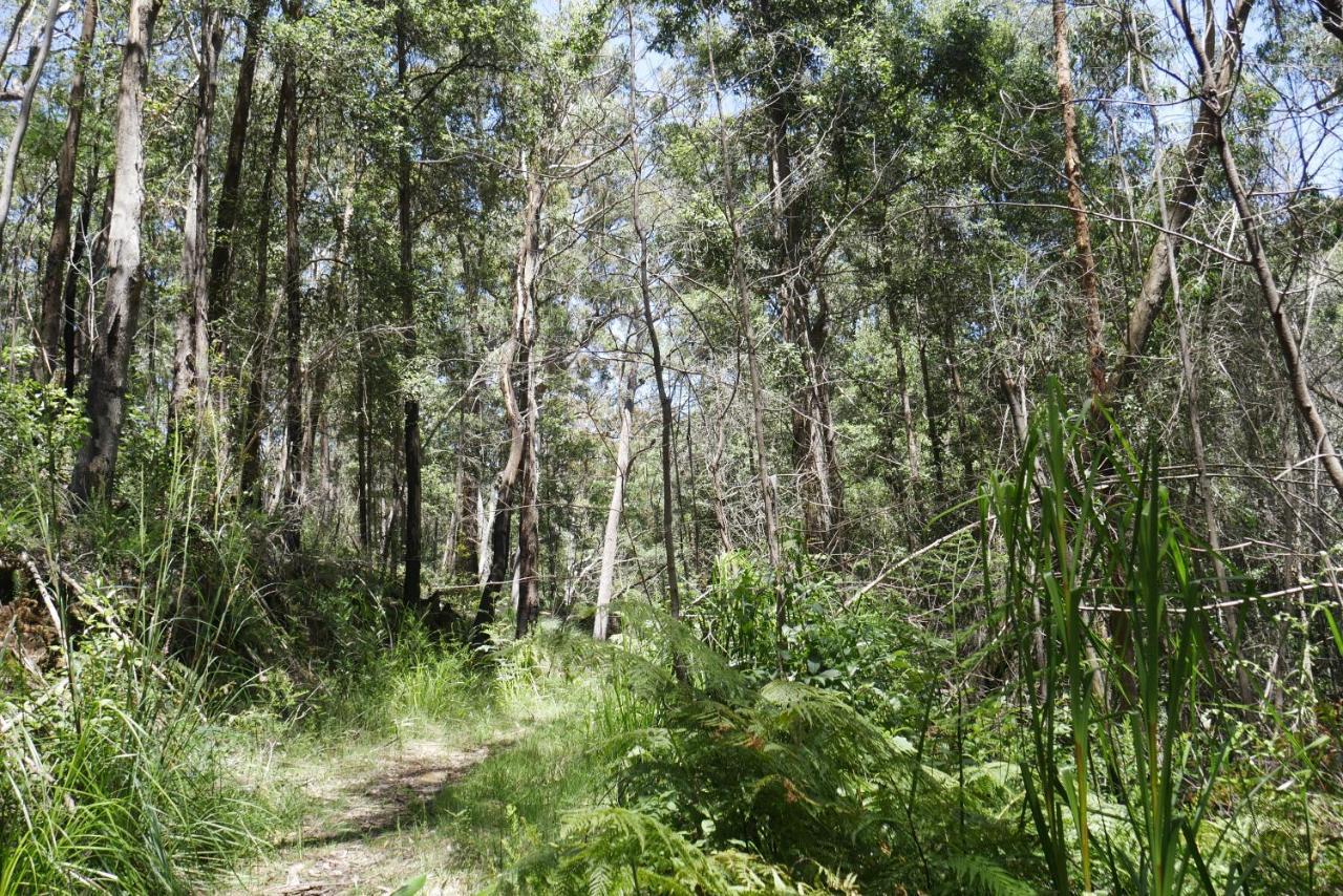 True North - 4Br Home & Garden In Bush Setting With Huge Bath Bilpin Εξωτερικό φωτογραφία