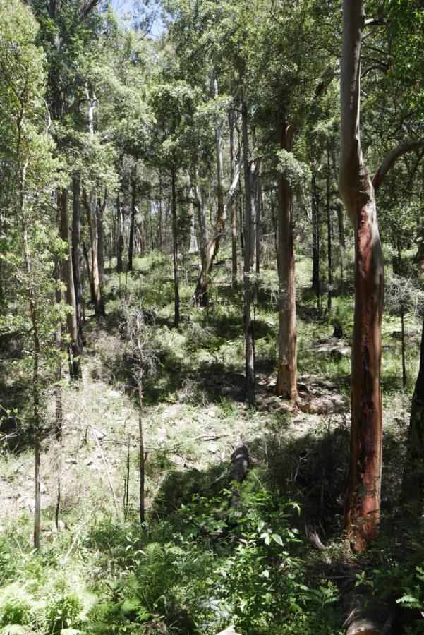 True North - 4Br Home & Garden In Bush Setting With Huge Bath Bilpin Εξωτερικό φωτογραφία
