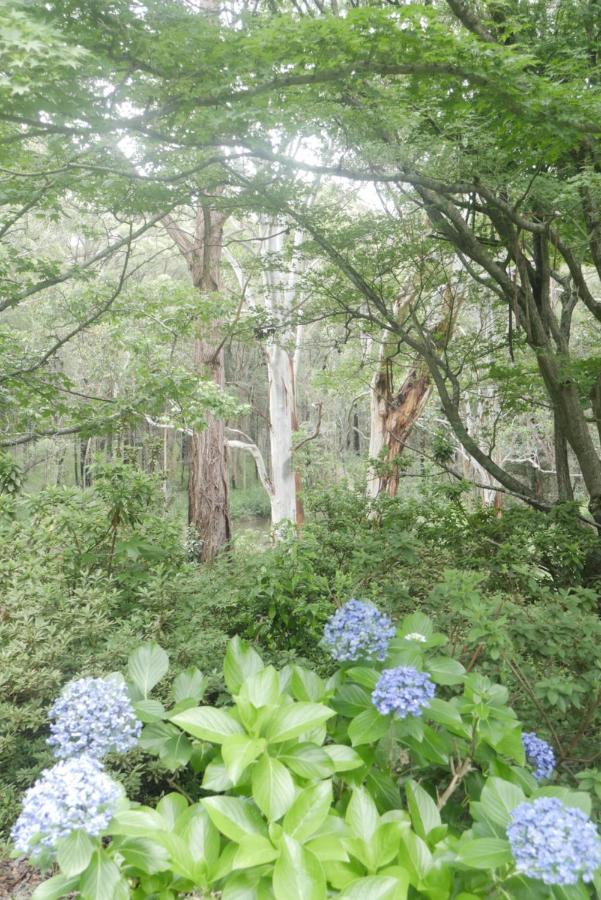 True North - 4Br Home & Garden In Bush Setting With Huge Bath Bilpin Εξωτερικό φωτογραφία