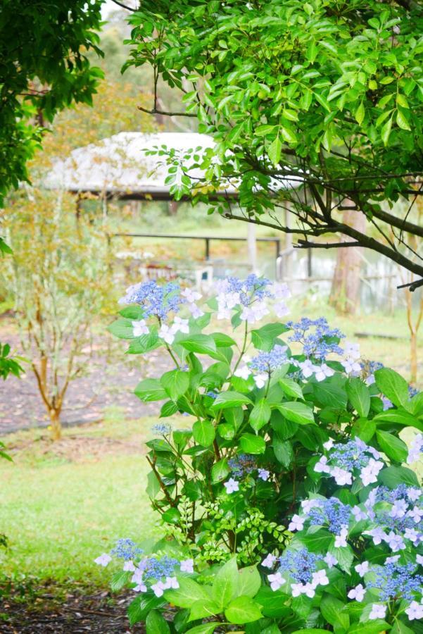 True North - 4Br Home & Garden In Bush Setting With Huge Bath Bilpin Εξωτερικό φωτογραφία